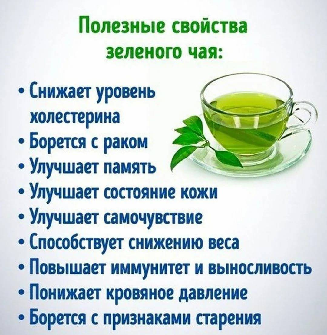 Всё о жиросжигающих напитках с лучшими ингредиентами: рецепты, правила употребления и отзывы