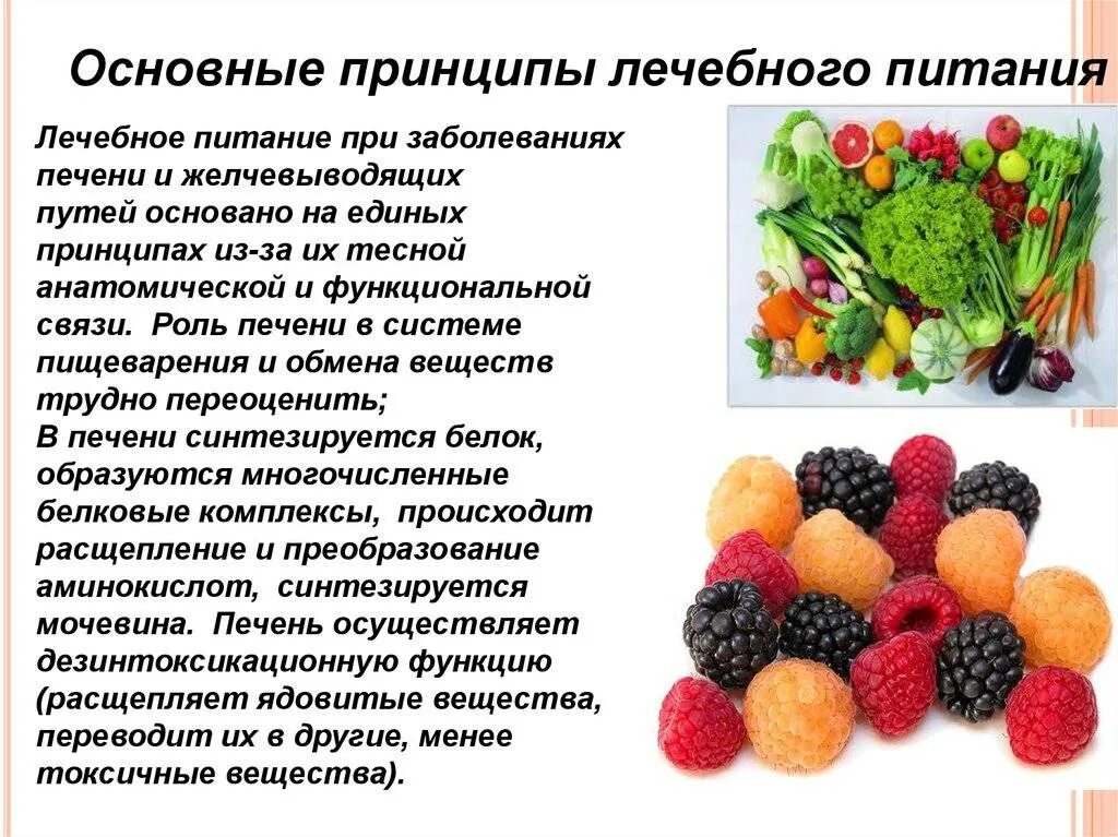 Жидкая диета: плюсы и минусы, популярные рецепты и рекомендации