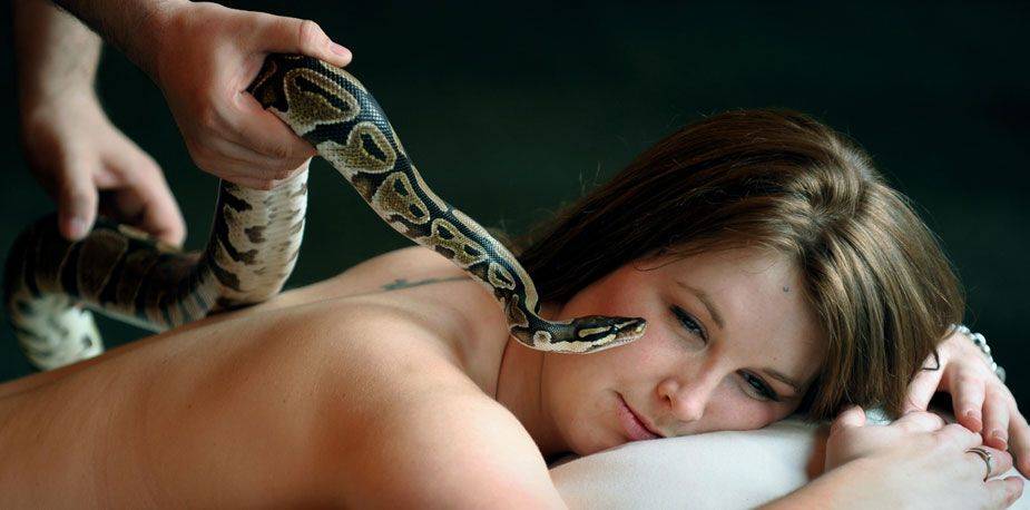 Массаж змеями – экзотика и польза