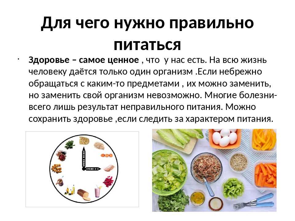 Меню правильного питания на каждый день