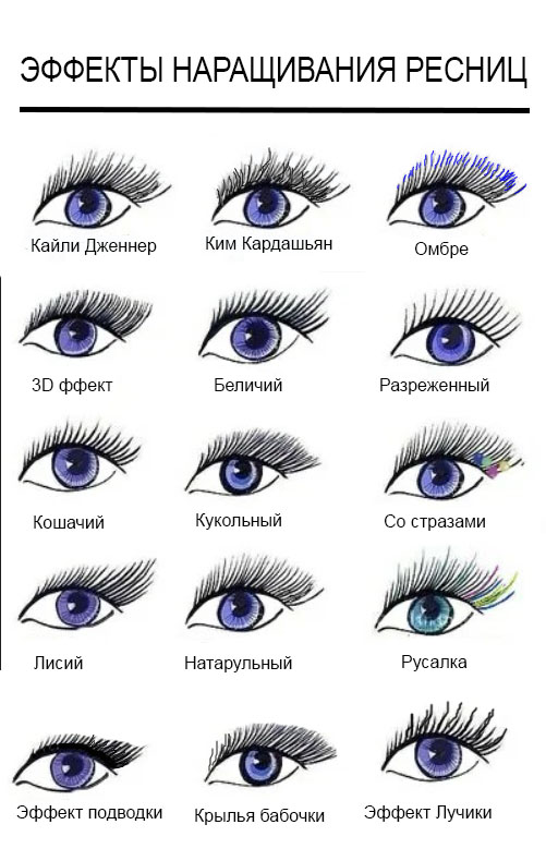 Нарощенные ресницы: какие бывают виды и эффекты (описание, фото, схемы дизайна)