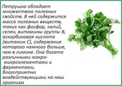 Петрушка для лица: отбеливающая маска от морщин в домашних условиях, от пигментных пятен в косметологии, как приготовить сок для подтяжки - рецепты
