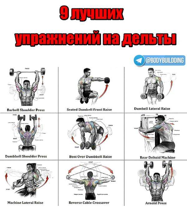 Тренировка спины в тренажерном зале для девушек