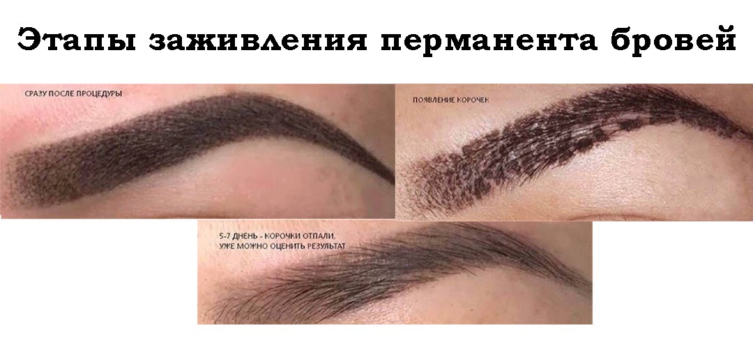 Перманентный макияж бровей (татуаж бровей) - что это, фото до и после