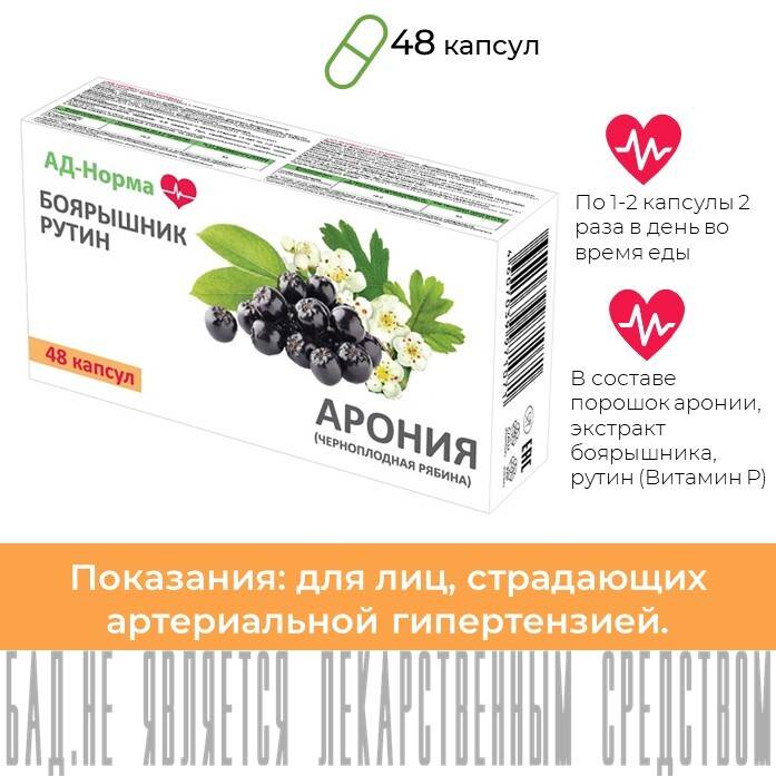 Лечебные свойства красной рябины и противопоказания