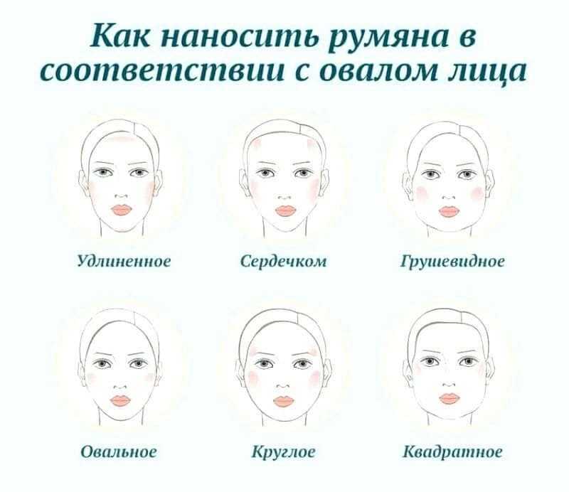 Как правильно наносить румяна чтобы круглое и овальное лицо казались худее, фото — krasnayapomada.ru