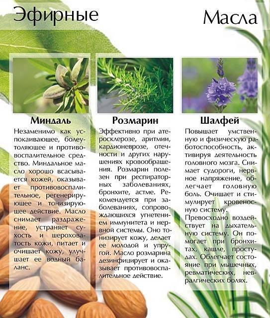 Какую пользу приносят листья толстянки и как правильно их использовать?