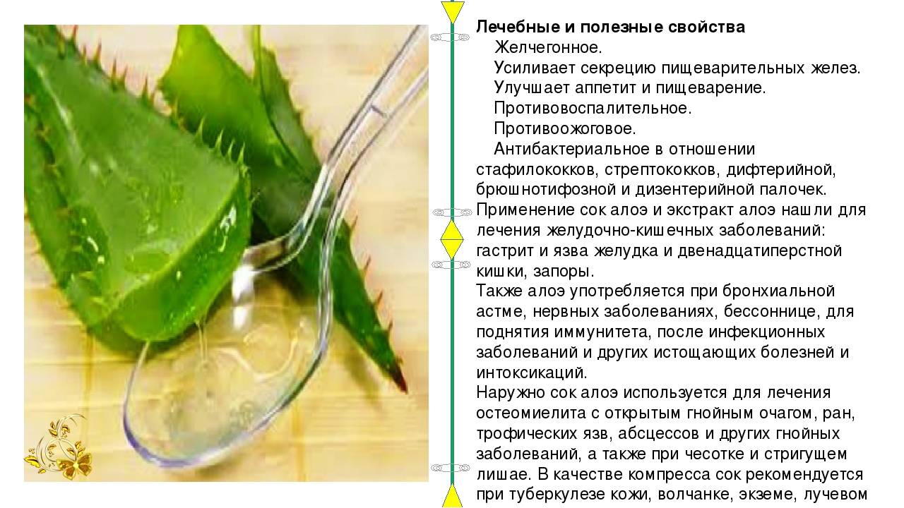 Топ-8 домашних масок для лица из алоэ
