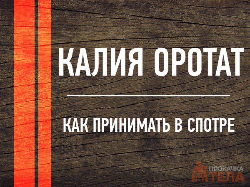 Калия оротат. фитнес и бодибилдинг