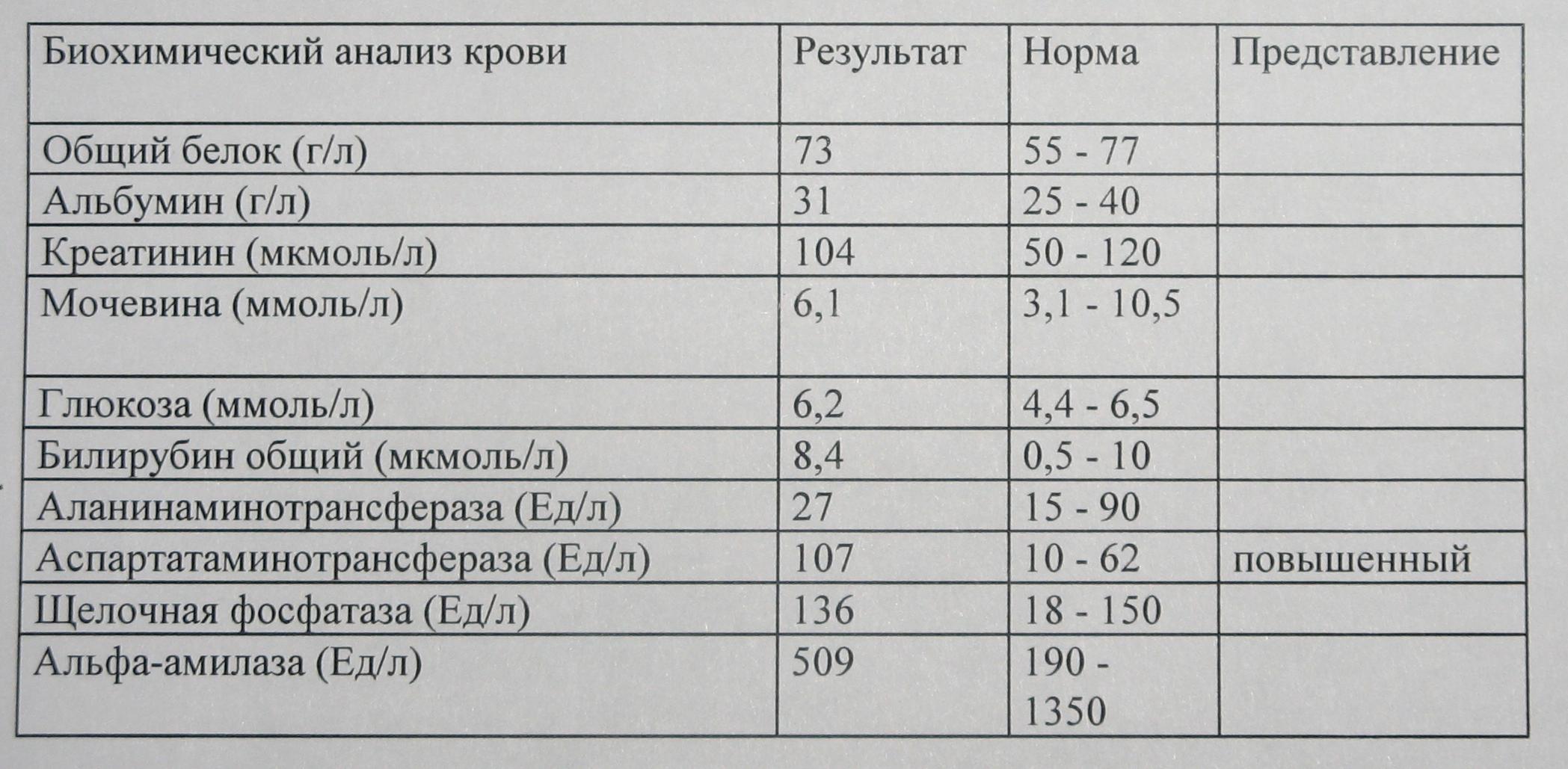 Биохимический анализ крови: норма и расшифровка результатов у взрослых
