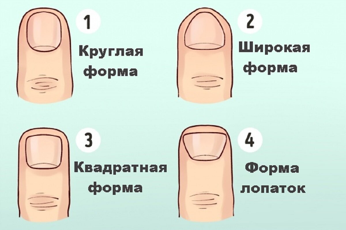 Характер по форме ногтей. | школа красоты