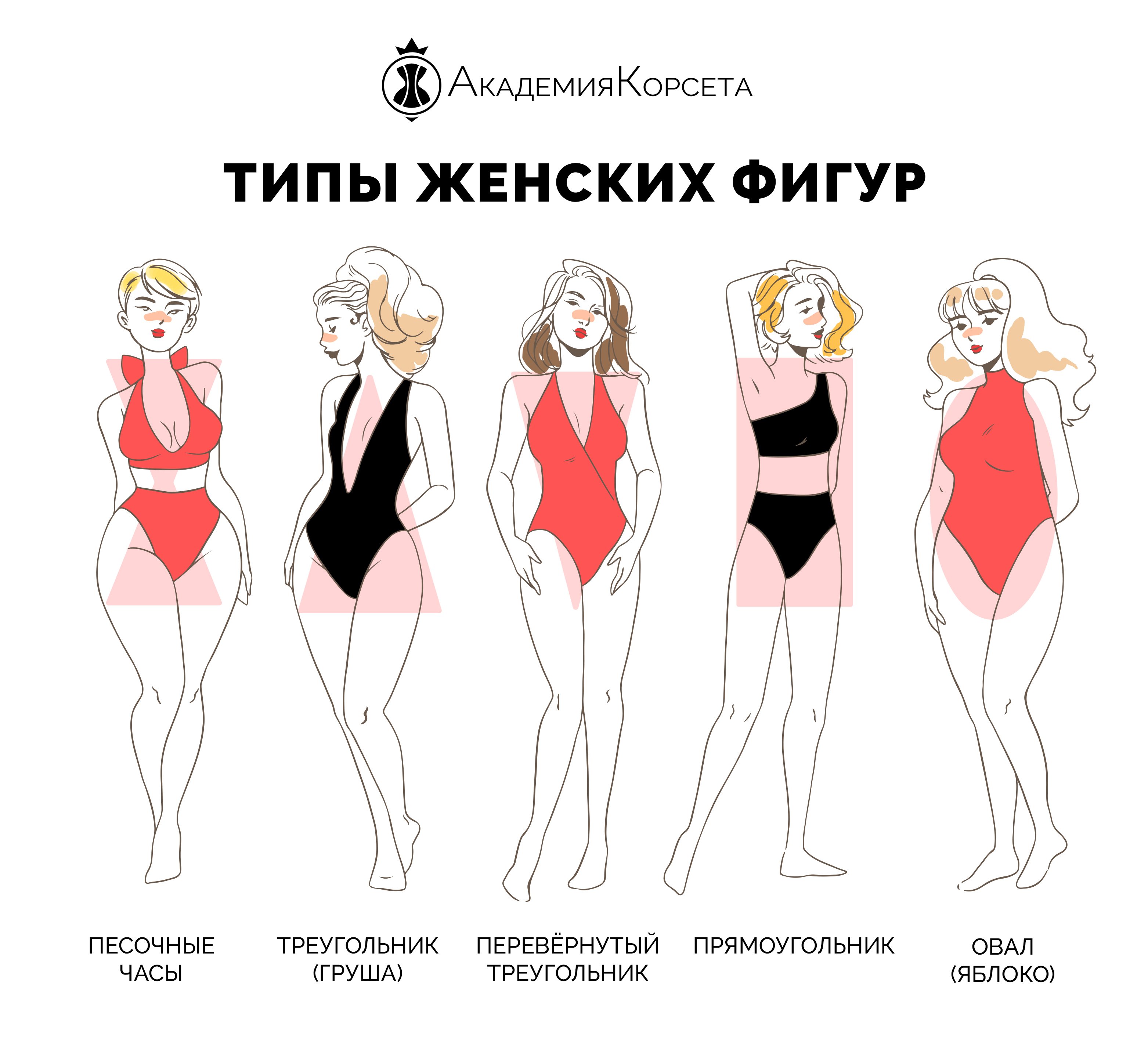 Типы женских фигур с примерами и описанием: как определить
