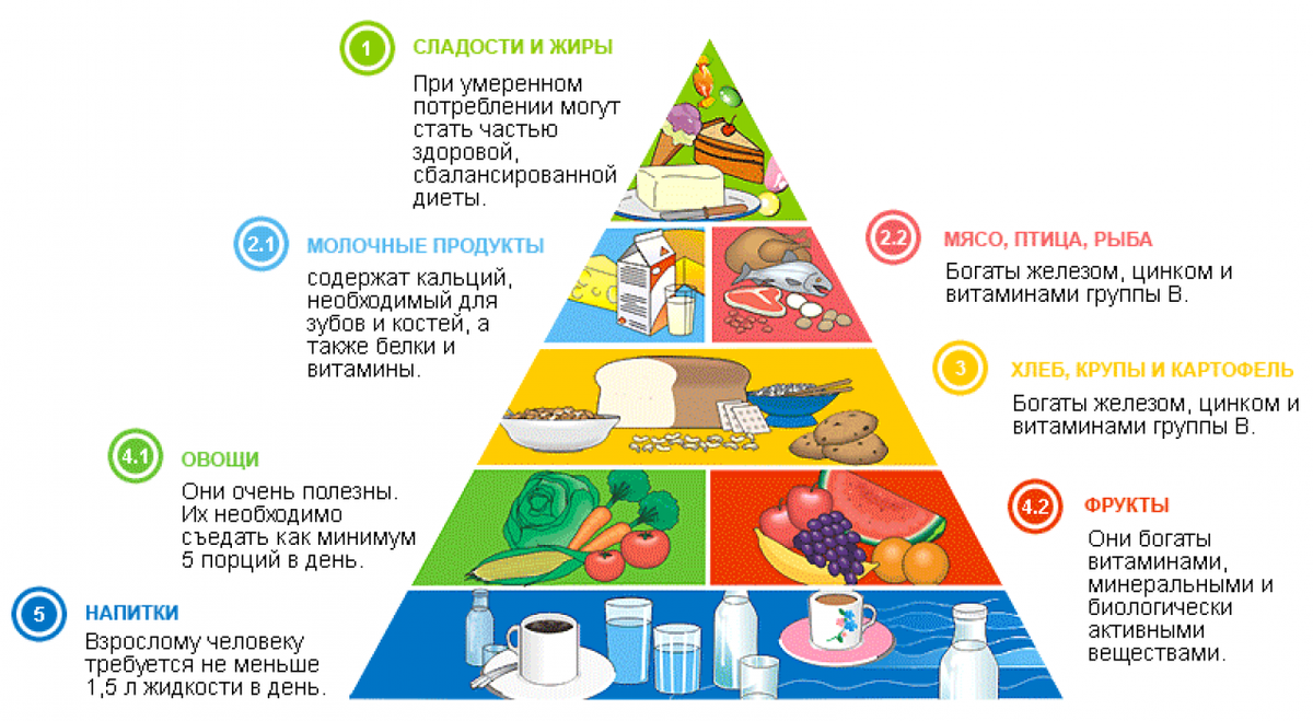 Здоровое питание — что такое и как наладить