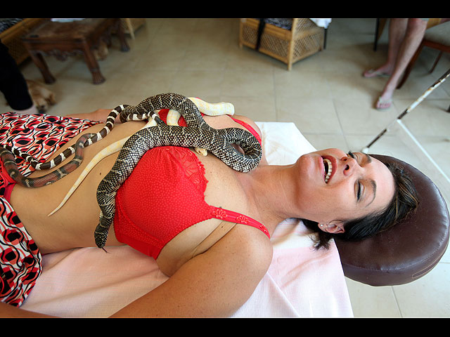 Индонезия: массаж со змеями – релакс или адреналин?