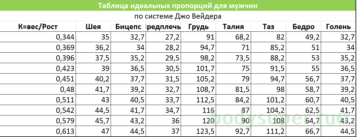 Как измерить окружность талии – онлайн калькулятор