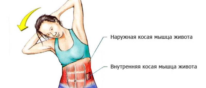 Как накачать пресс девушке: 18 упражнений и программы