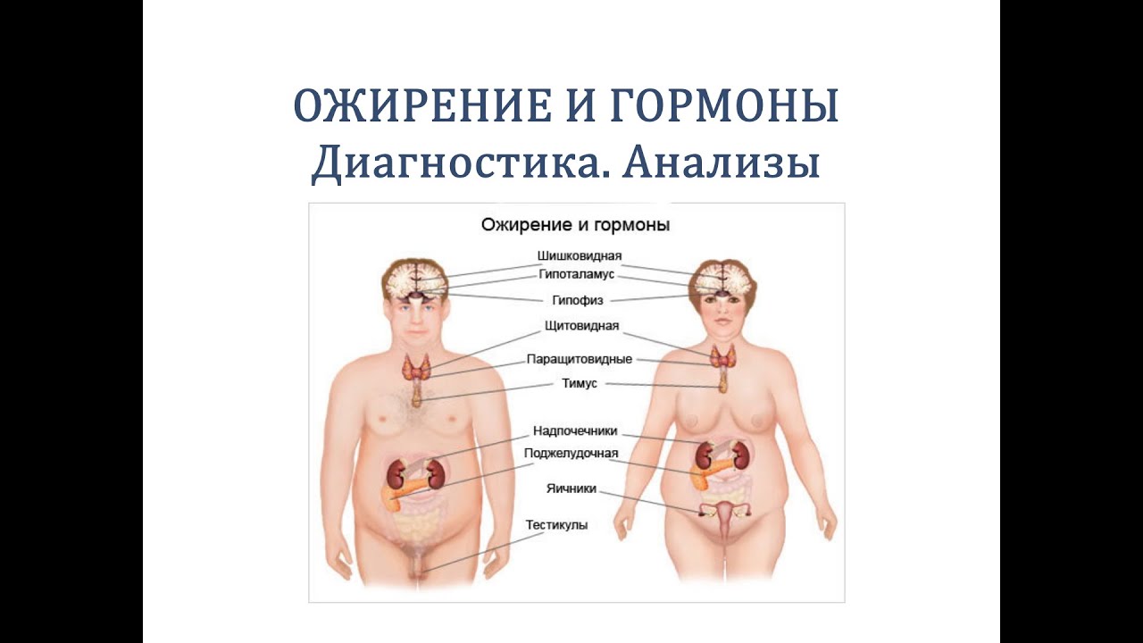 Гормоны для похудения женщинам после 30-40-50 лет. какие сдать анализы, отзывы врачей