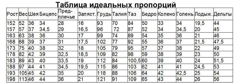 Как измерить талию и не ошибиться с результатом: 5 простых шагов - 7дней.ру
