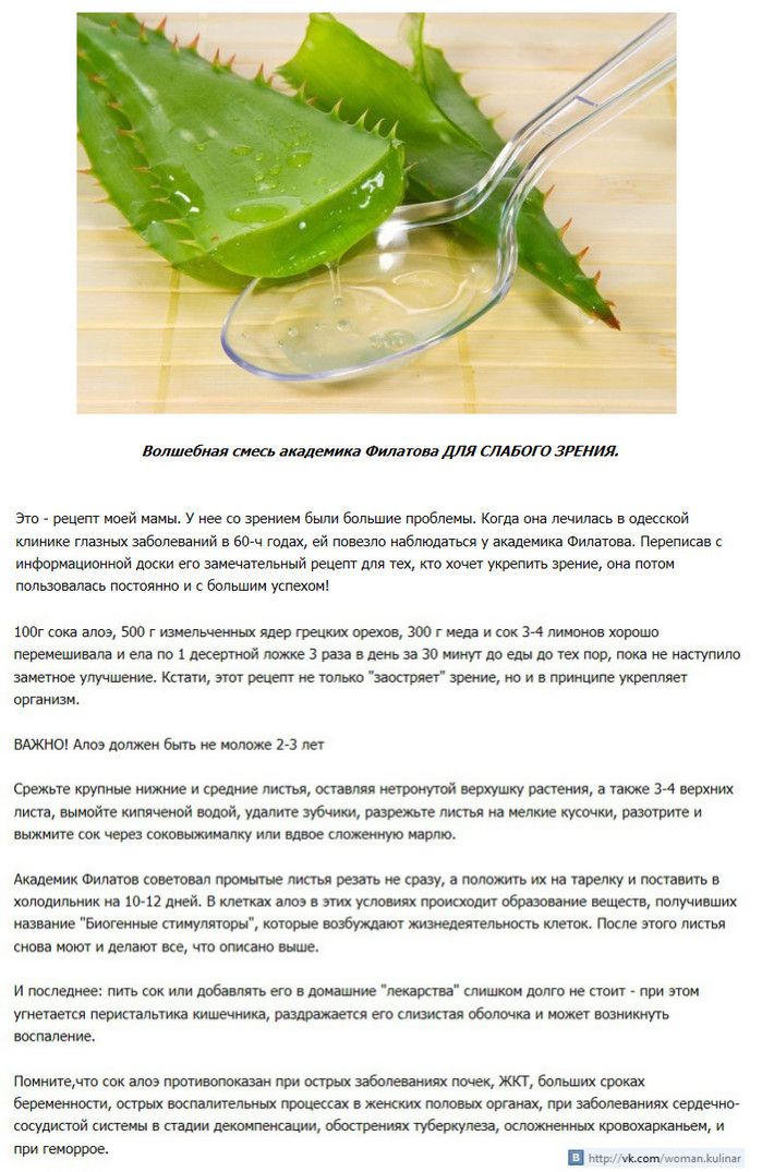 Как приготовить масло алоэ в домашних условиях