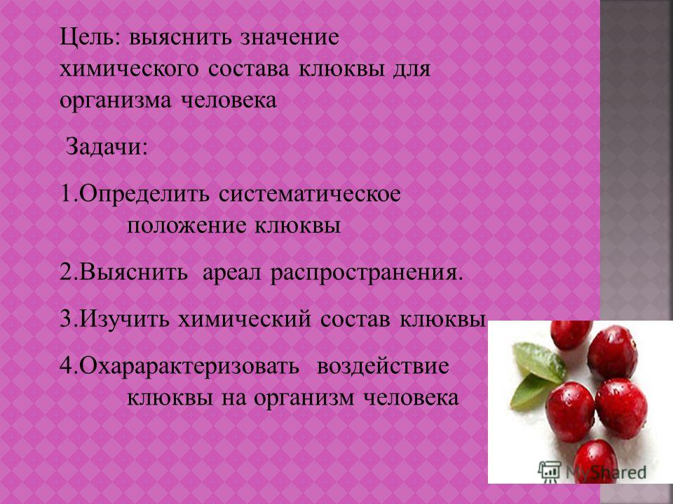 Маска из клюквы для лица: какого производителя выбрать в магазине и как приготовить дома?