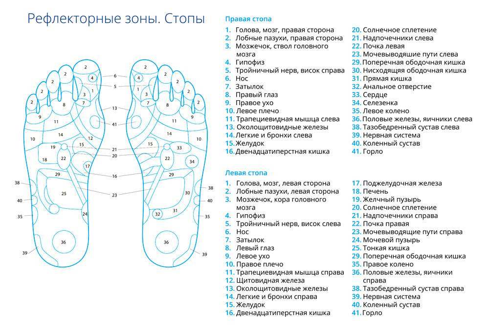 Точечный массаж стоп: биологически активные зоны и техники