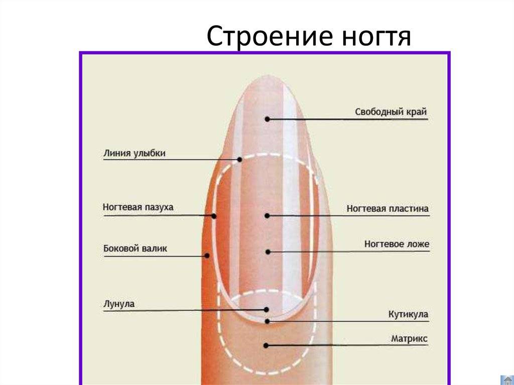 Несколько советов о том, как ухаживать за кутикулой в домашних условиях