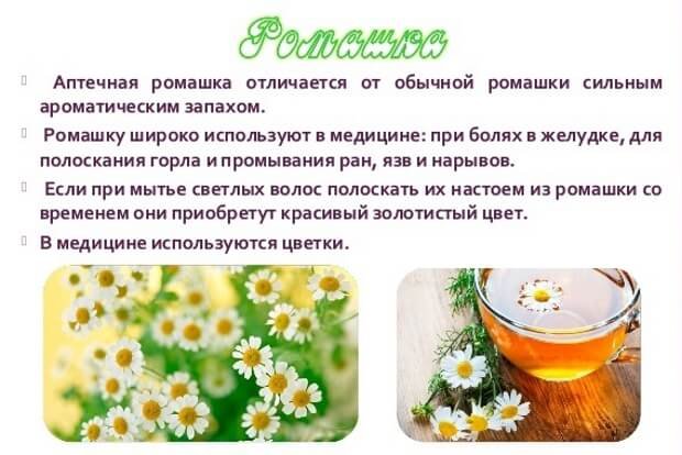 Настой ромашки для лица от морщин